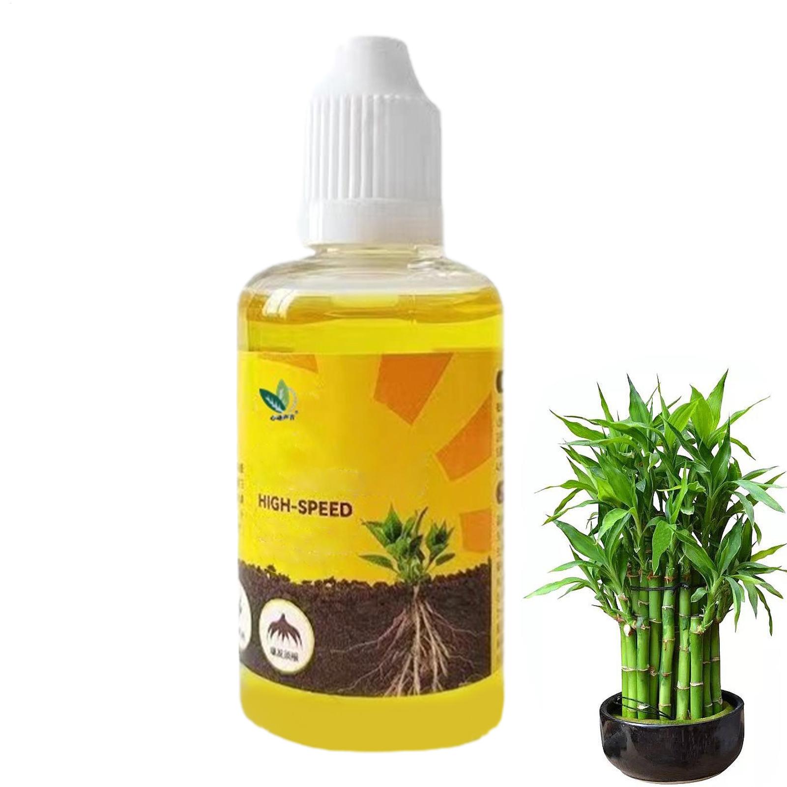 Root Stimulator Liquid - น้ำยาเร่งการแตกหน่อรากพืช น้ำยาบำรุงรากพืช น้ำยาเร่งการแตกหน่อราก สารเร่งการแตกหน่อราก ปุ๋ยน้ำ น้ำยาเร่งการแตกหน่อรากให้แข็งแรง
