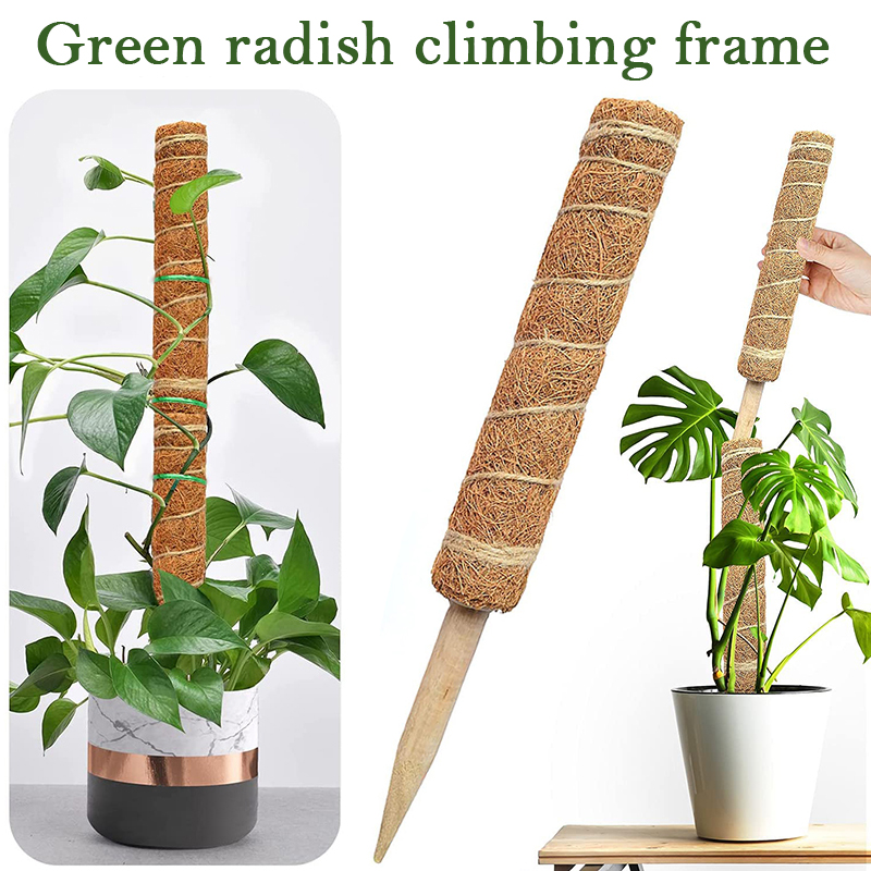 Sphagnum Moss Dry - เสาต้นมะพร้าวสำหรับพืชเลื้อยขนาด 30/40/50 ซม. ปลอดภัยสำหรับการปลูกพืช ไม้เลื้อย และพืชคล้อง