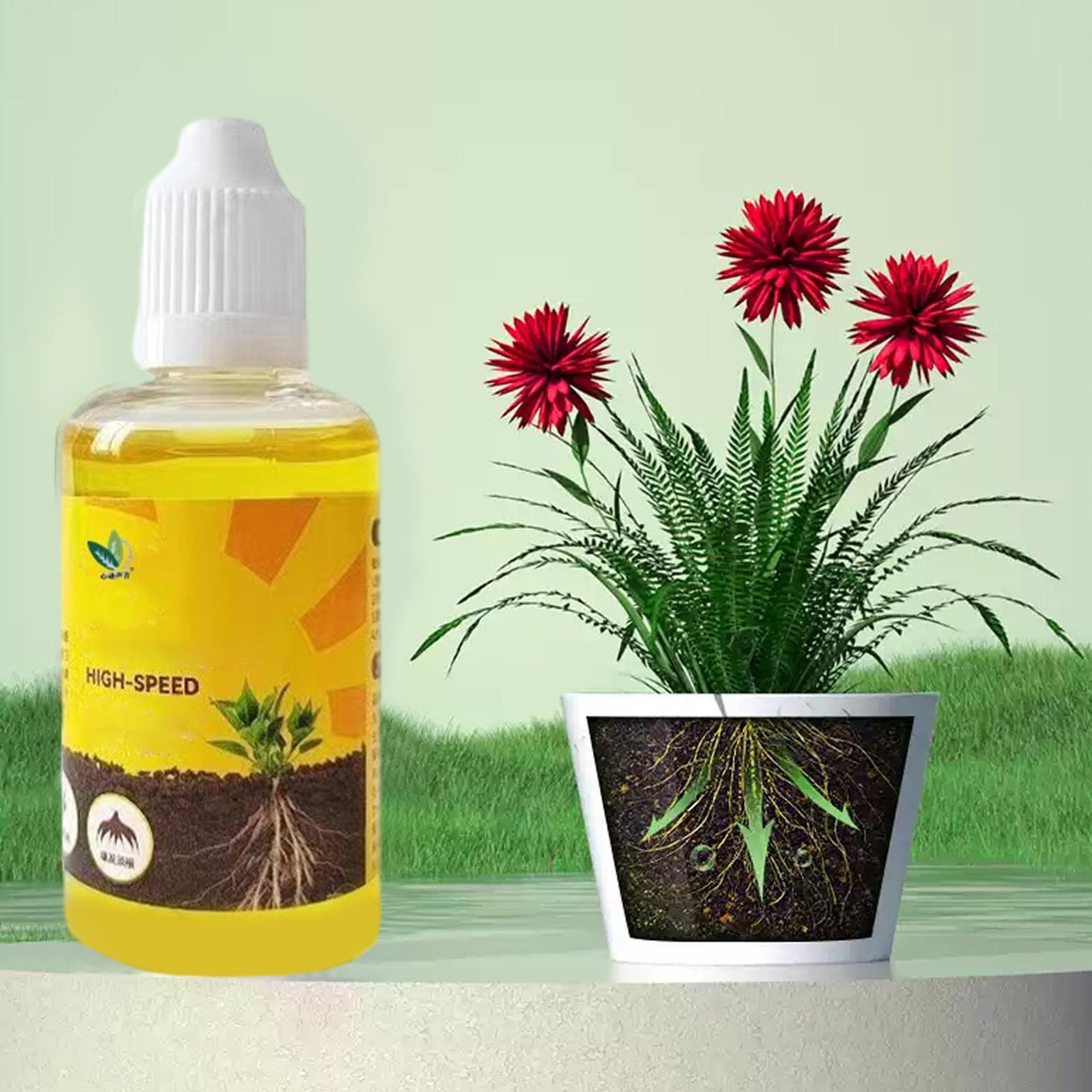 น้ำยาเร่งการแตกหน่อรากพืช น้ำย - Root Stimulator Liquid บทวิจารณ์และราคา