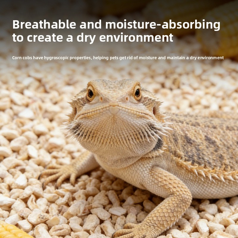 วัสดุปูรองพื้นสำหรับสัตว์เลื้อ - Sphagnum Moss Dry บทวิจารณ์และราคา
